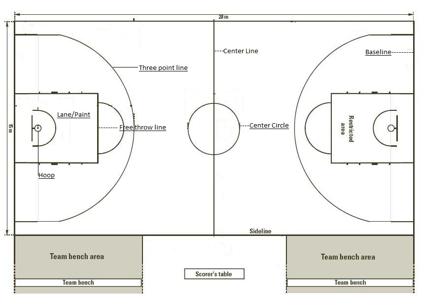 The BAsketball COurt - Carrillo physical education